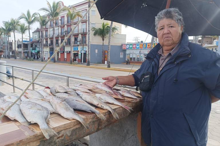 Caen en un 60% ventas de pescado en Playa Norte