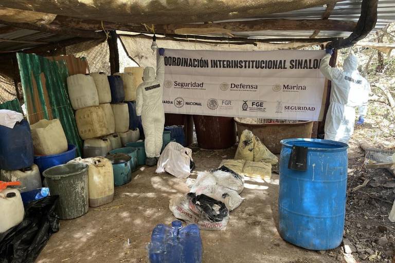 Desmantelan un laboratorio para la elaboración de drogas en Cosalá
