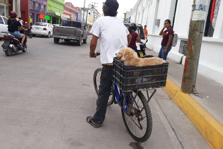 Escuinapa pone el ejemplo de movilidad en Sinaloa al usar la bicicleta para todo