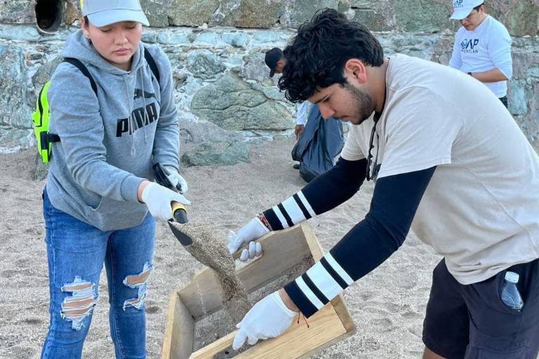 Limpian playa de Olas Altas tras llamado de asociación Maz ConCiencia