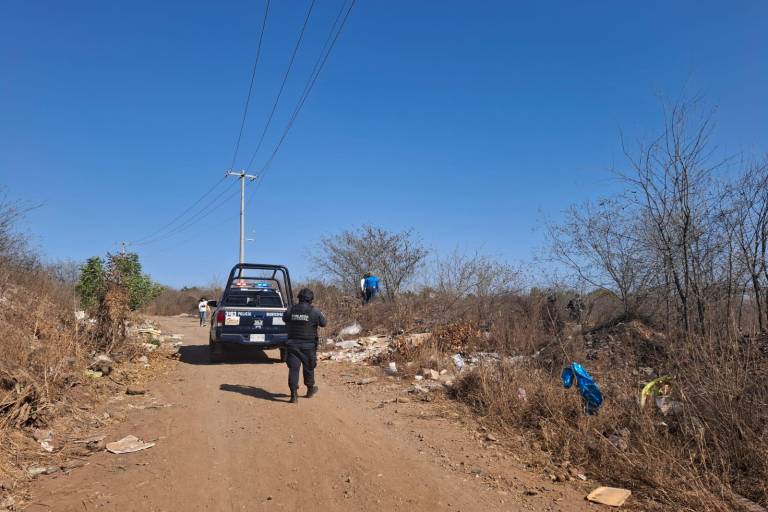 Encuentran osamenta en un lote baldío de Punta Azul, al sur de Culiacán