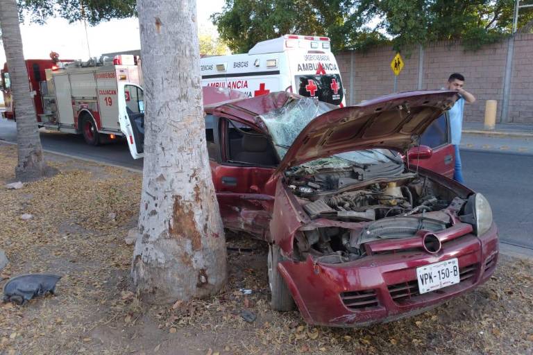 Joven choca contra palmera en la Colonia Las Quintas, en Culiacán