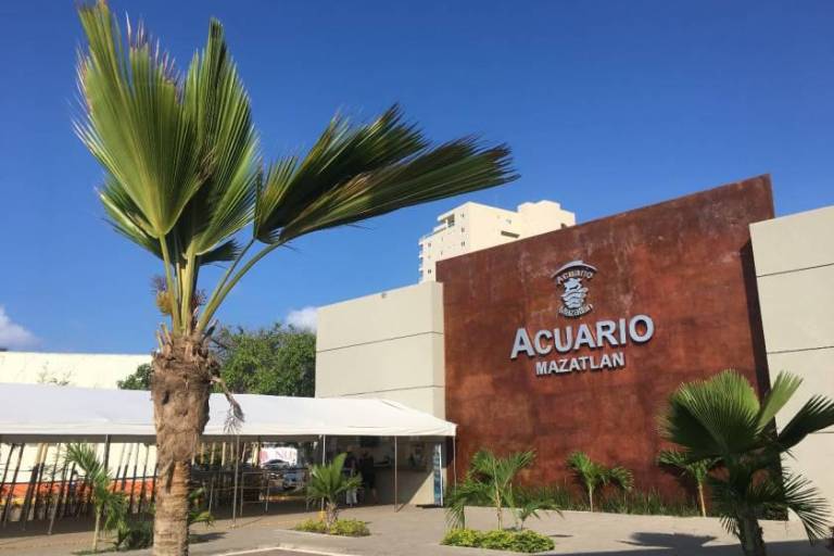 Aún cerrado, el viejo Acuario Mazatlán arrastra pérdidas millonarias