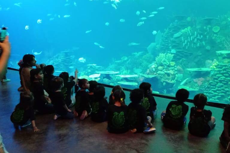 Prefieren visitantes del Acuario actividades donde se interactúa con especies: Director