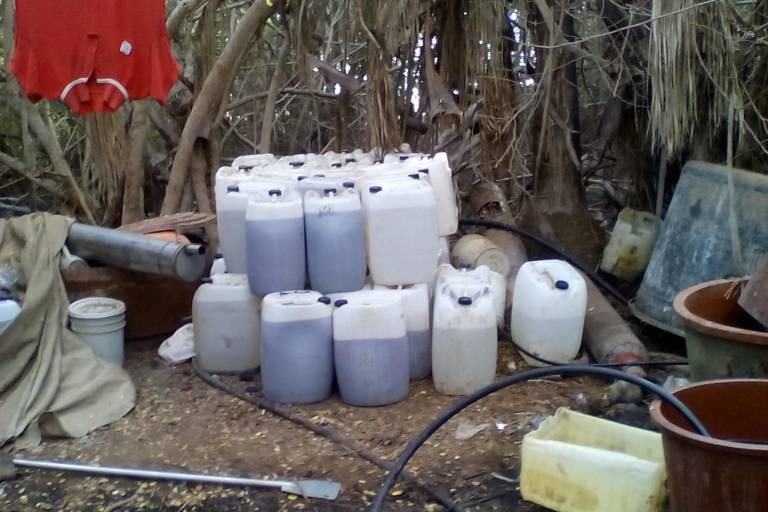 SIN CUERPO NO HAY DELITO |Los cambios en el mercado de drogas: la producción y la autoridad