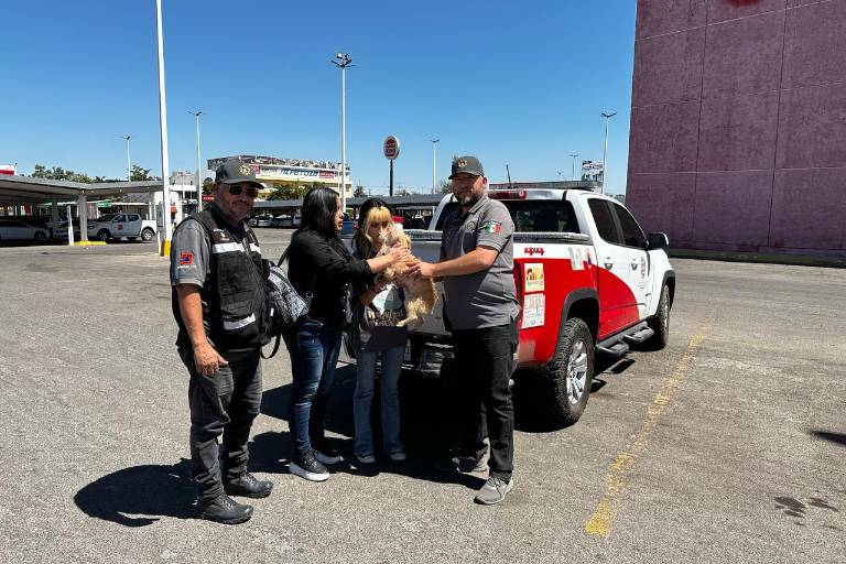 Encuentran a familia de perrito rescatado por Protección Civil Culiacán