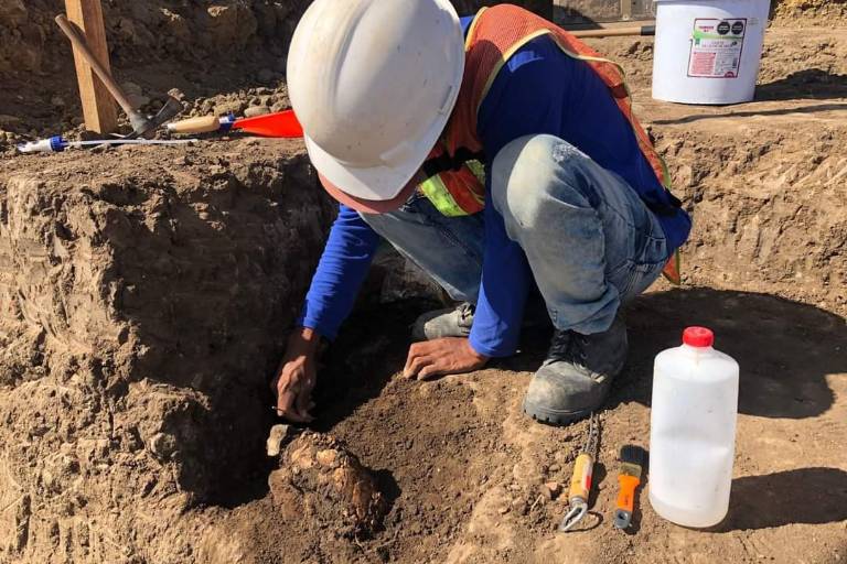 Hallan en Mazatlán restos óseos de más de mil años de antigüedad