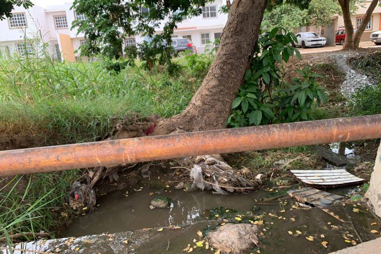 Aguas negras en La Foresta contaminan el arroyo Jabalines en Mazatlán