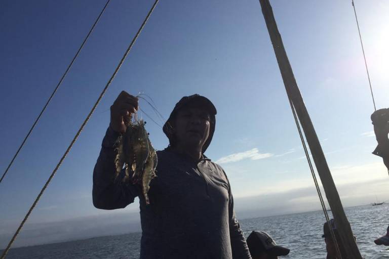 Apoyos del Bienpesca estatal se entregarán en septiembre, anuncia Flor Emilia Guerra