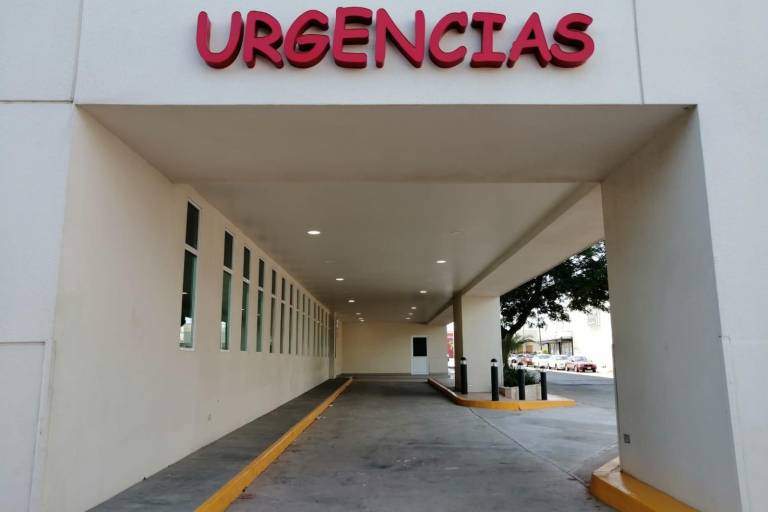 Intenta niño de 3 años darle sushi a un perro y éste le muerde la cara en Culiacán
