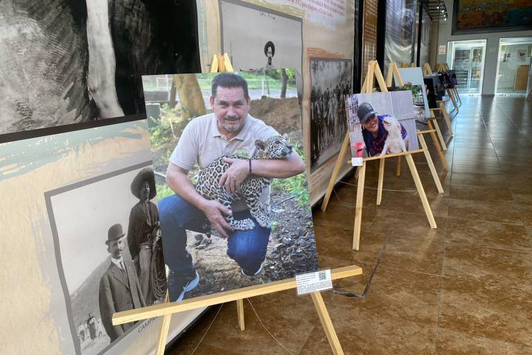 Exponen fotografías de activistas de Culiacán en el corredor Dámaso Murúa