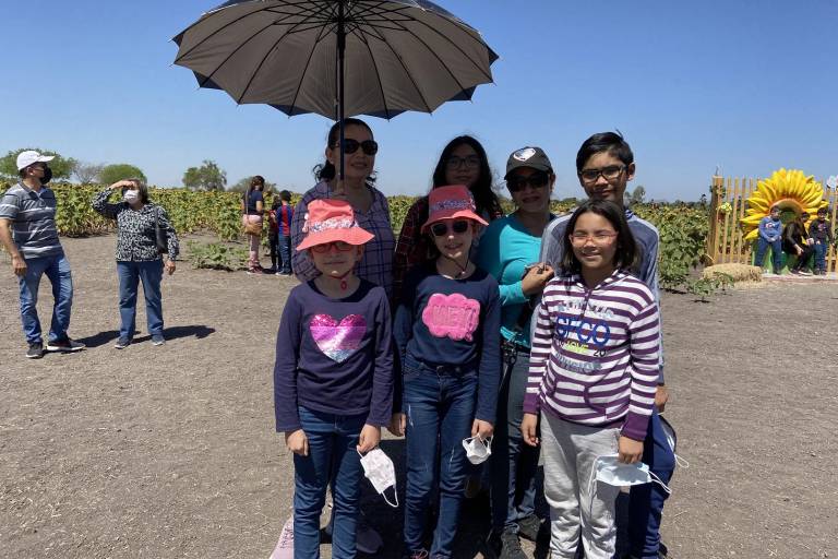 Conocen los girasoles en Mocorito