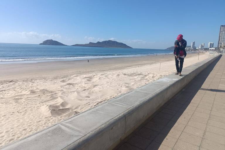 Toman sepultura de ballena como nuevo atractivo de Mazatlán