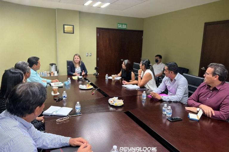 Regidores ‘refuerzan’ investigación de la ASE sobre luminarias led