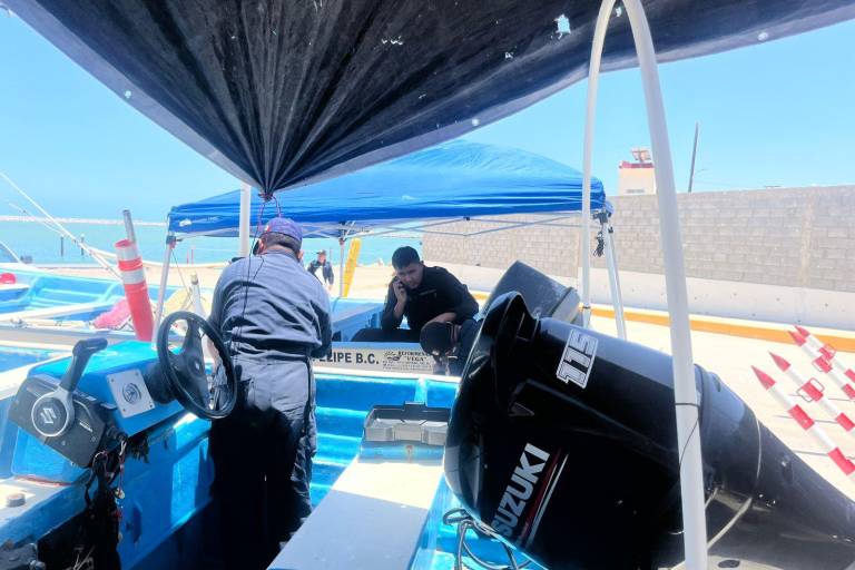 Fortalecen vigilancia vía satelital contra la pesca ilegal de la totoaba