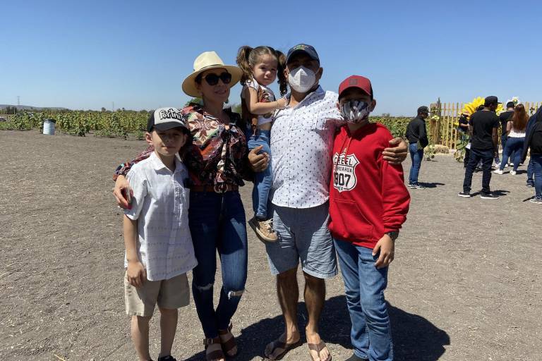 Conocen los girasoles en Mocorito