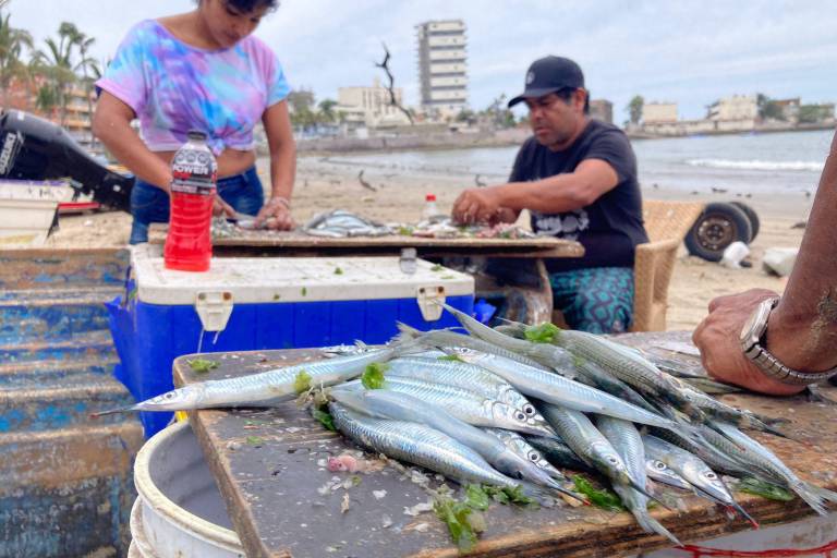 Ofertan ya el tradicional manjar mazatleco, el ‘pajarito’, en Playa Norte