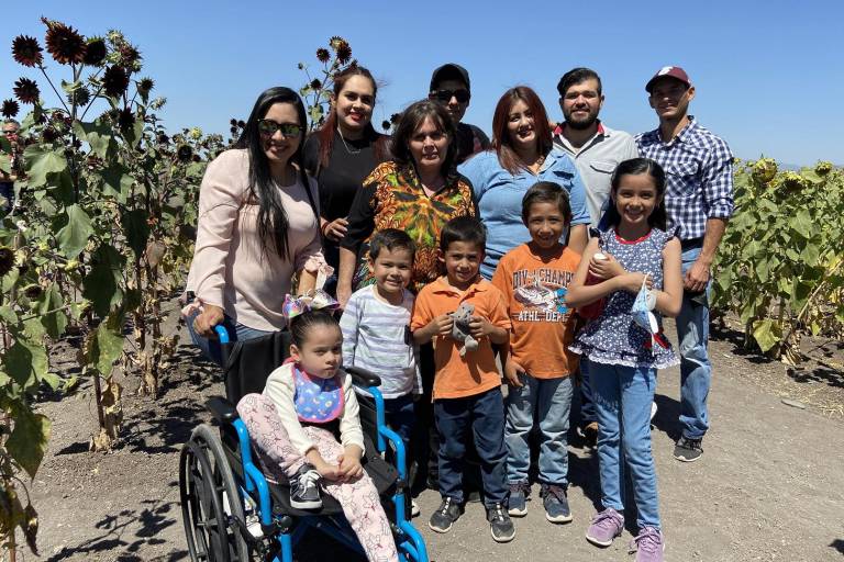 Conocen los girasoles en Mocorito