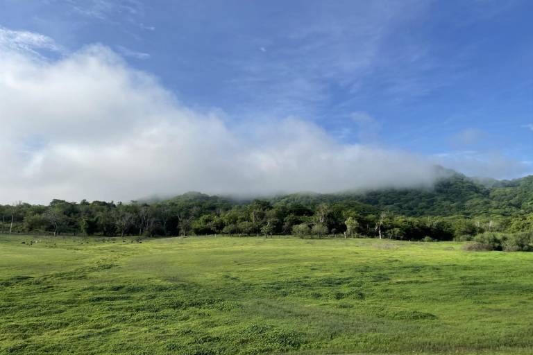 ‘Narnia’, un paraíso natural en Culiacán