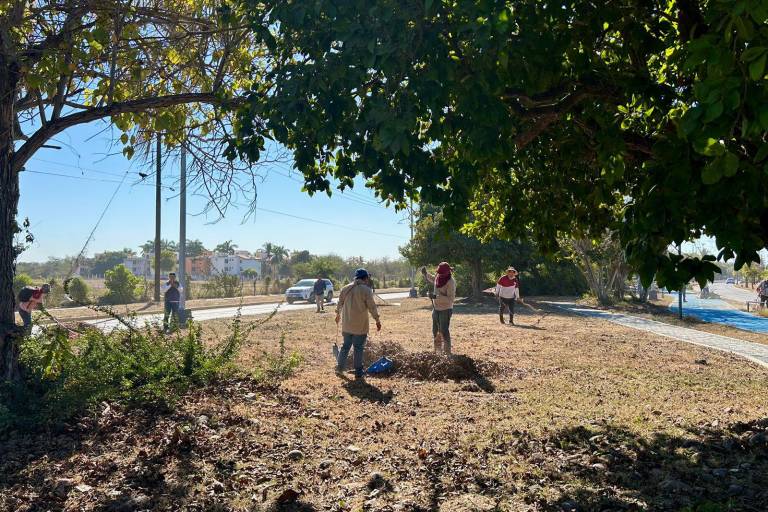 Limpian camellones de avenidas Cerritos y El Dorado en Mazatlán