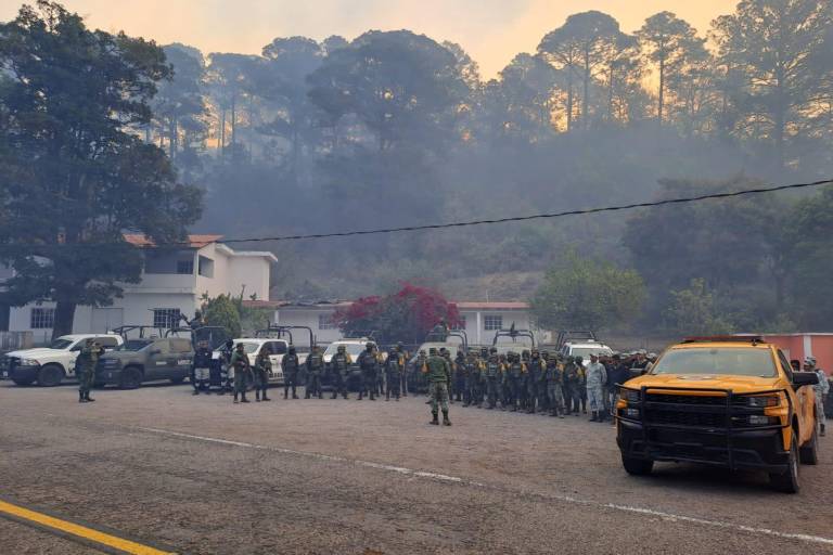 Escuinapa apoya en el incendio forestal en Loberas, Concordia