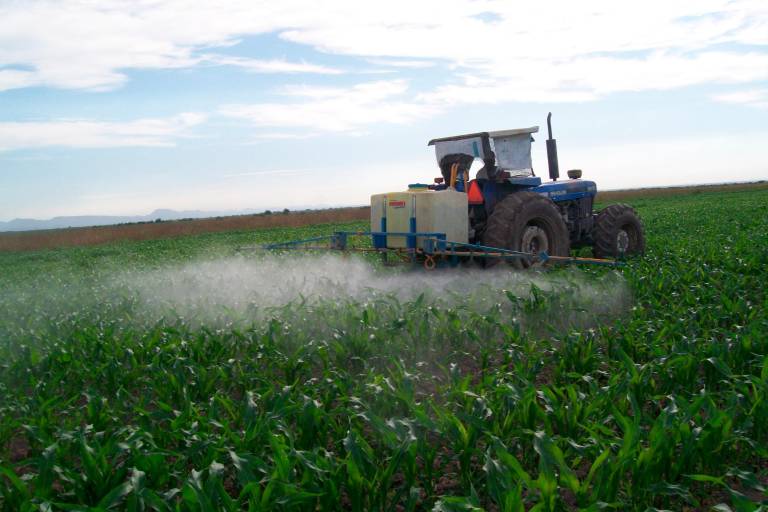 Agricultura regenerativa, la nueva tendencia en el comercio minorista
