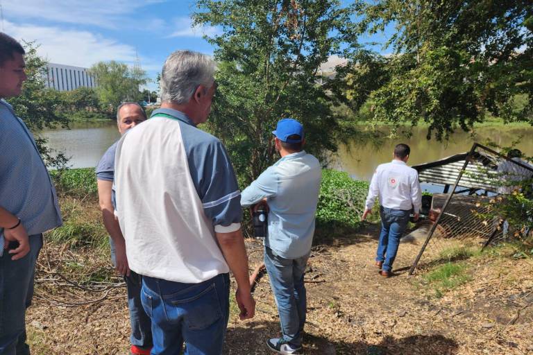 Tome precauciones ante avistamientos de cocodrilos en las Riberas: PC