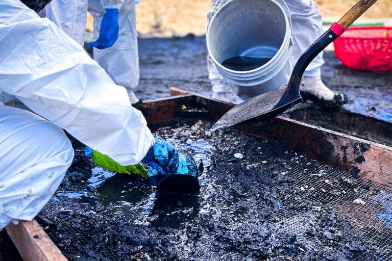Por cuarto día consecutivo, Sabuesos Guerreras halla restos humanos en planta tratadora de Tacuichamona