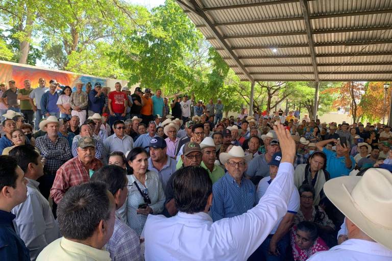 Agricultores de Sinaloa recibirán pago de cosechas esta semana, estima funcionario