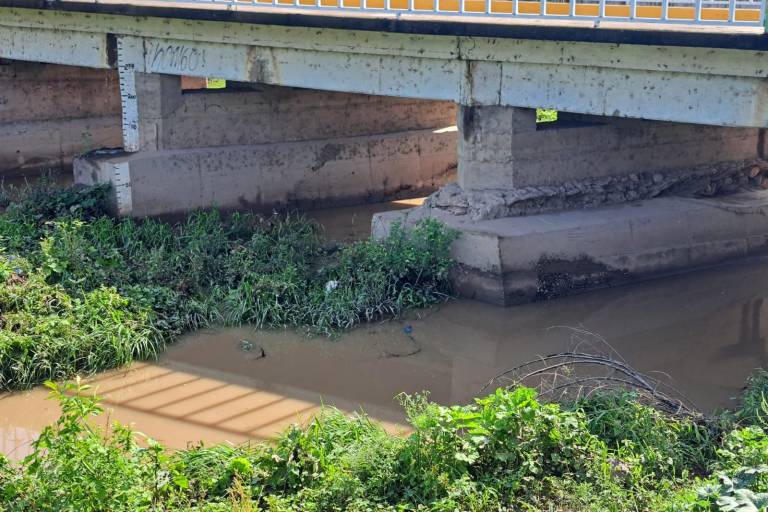 Lluvias en Escuinapa dejaron apagones y al menos dos árboles caídos