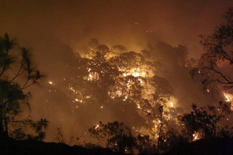 Apoyan bomberos de Mazatlán en combate al incendio en Loberas, Concordia