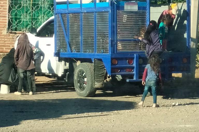 Persiste en Rosario el traslado de menores a los campos agrícolas