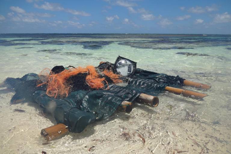 Los barcos atuneros europeos vierten los residuos de la pesca en las aguas de Seychelles ‘con impunidad’