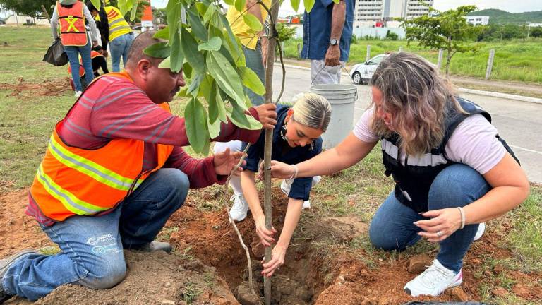 Fueron un total de 60 los árboles que se plantaron durante esta jornada, entre los cuales se encuentran especies como venadillo, amapa común, lluvia de oro y primavera.