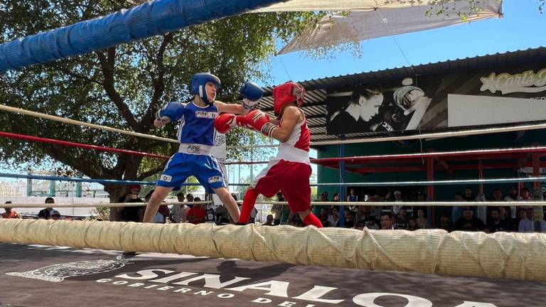 Los pugilistas pulen y muestran sus avances cada fin de semana.