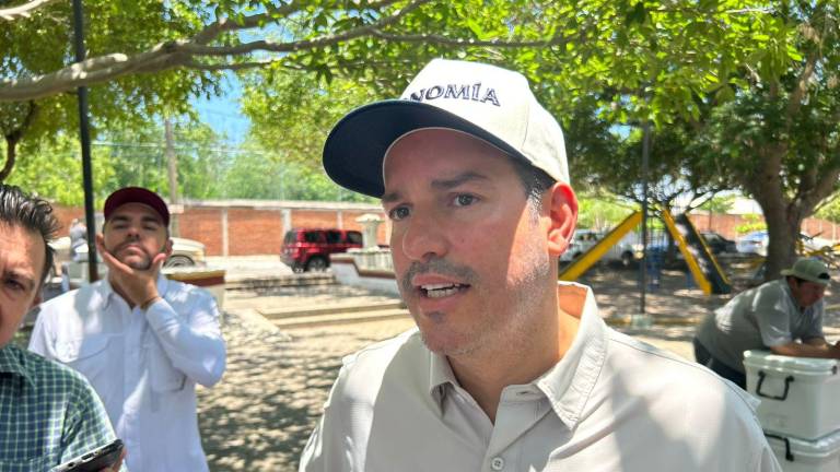 El auge de la cerveza artesanal en Sinaloa se refleja en nuevas marcas, señaló el Secretario de Economía estatal, Ricardo Velarde Cárdenas.