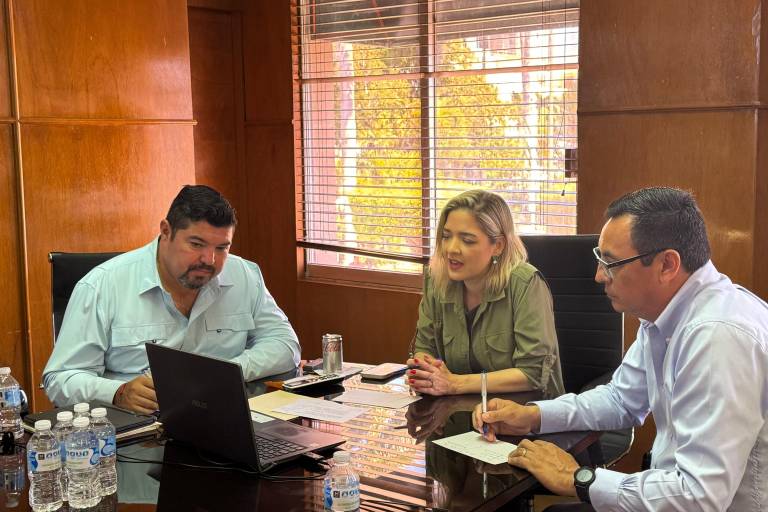 Buscan posicionar a Mazatlán como la cuenca lechera del Datemex de México