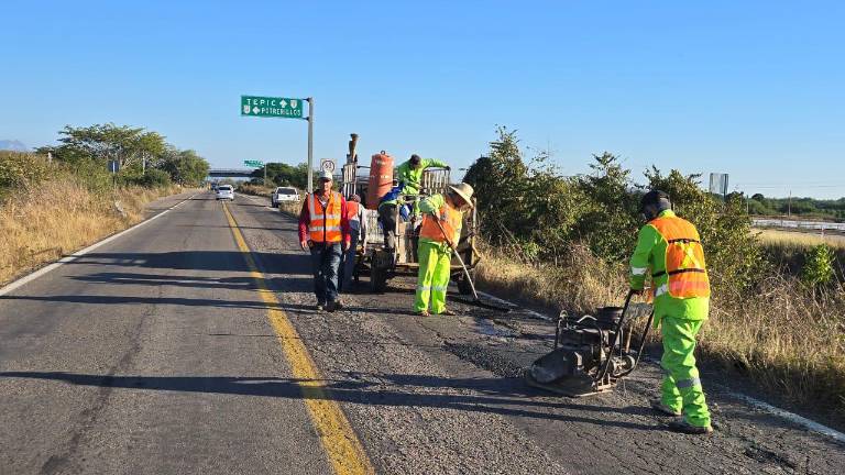 La Secretaría de Comunicaciones y Transporte ya contrató a la empresa que está realizando el bacheo.
