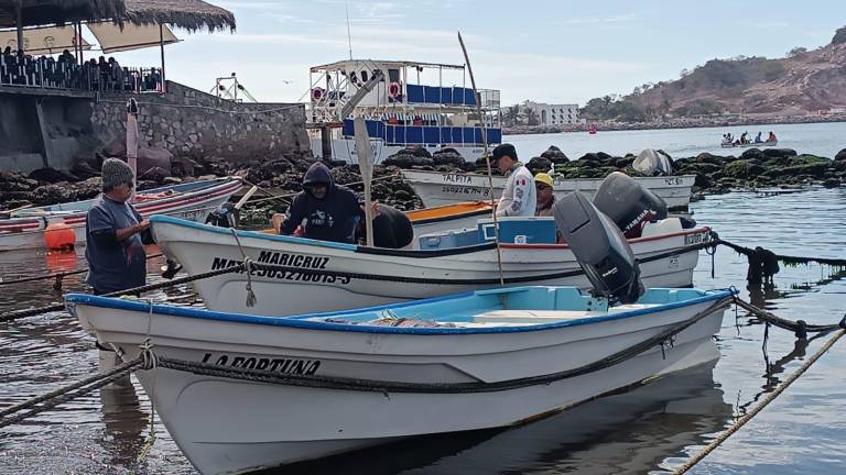 Desde hace semanas, los pescadores del embarcadero de Playa Sur sufren por recuperar la inversión en equipo y combustible ante las bajas capturas.
