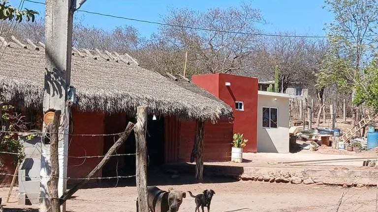 En la comunidad de Tomo, sindicatura de Imala, se reportó un enfrentamiento armado desde el fin de semana.