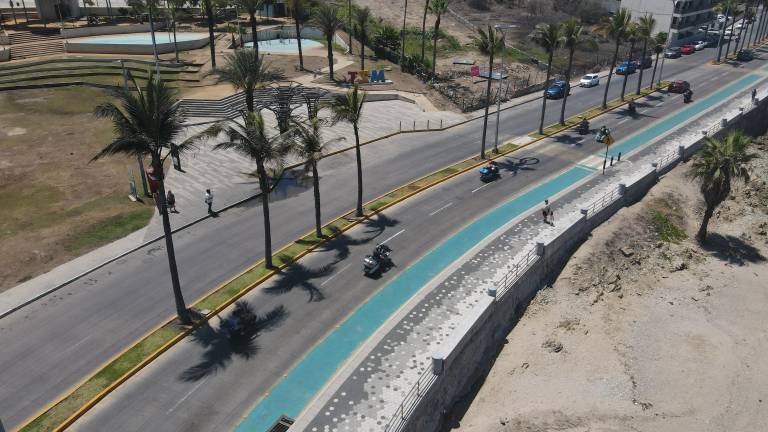 Ambientalistas criticaron la tala de dos palmeras en el Paseo Claussen, señalando que la verdadera solución radica en mejorar el diseño vial.
