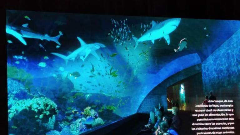 Contará nuevo Acuario Mar de Cortés de Mazatlán con un lago de 200 millones de litros de agua: Zerecero