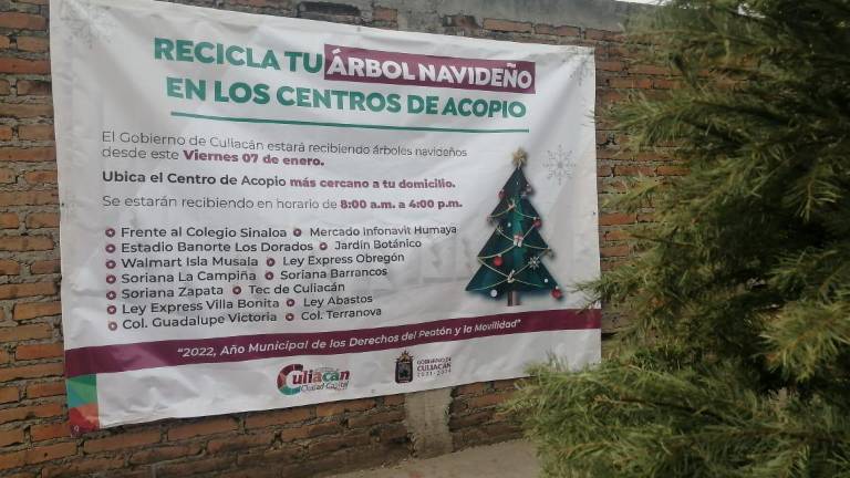 Los centros de acopio y reciclaje de pinos naturales estarán disponibles hasta el 15 de enero, en distintos puntos de Culiacán.