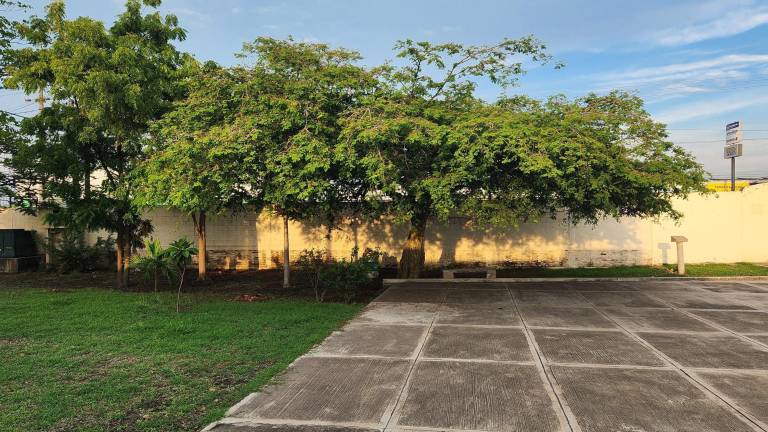 En la Ciudad de los Niños de Mazatlán buscan apoyo para niñas, niños y adolescentes para su regreso a clases.