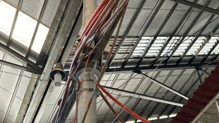 Vega Niebla prevé que las labores de rehabilitación inicien en un corto plazo.
