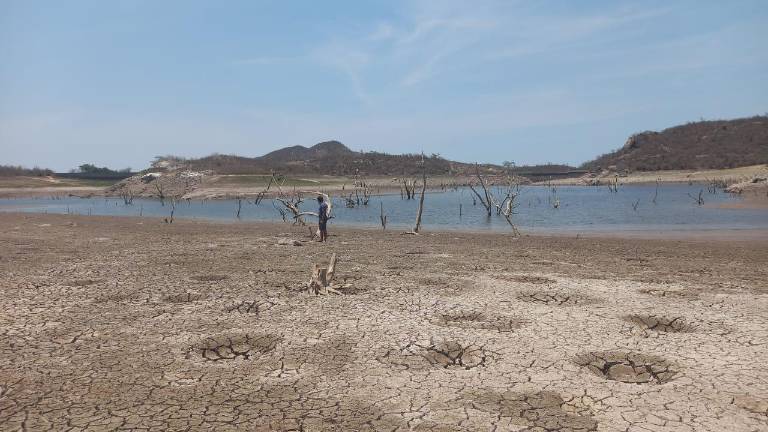 La presa Agustina Ramírez, en Escuinapa, se encuentra a su nivel mínimo histórico.