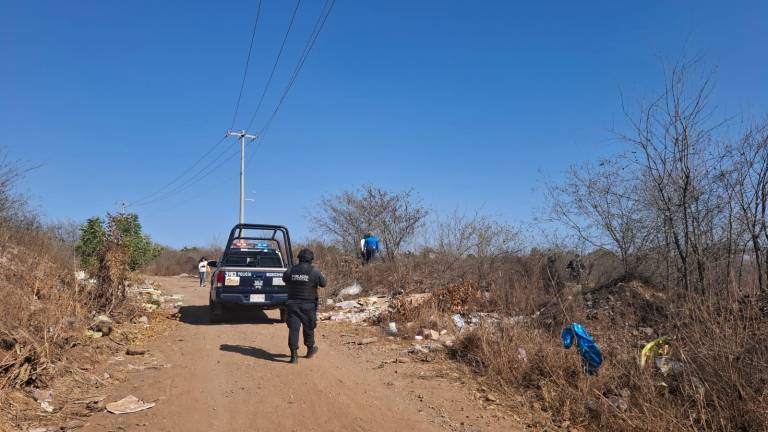El hallazgo se registró en un terreno baldío del sector sur de la ciudad.