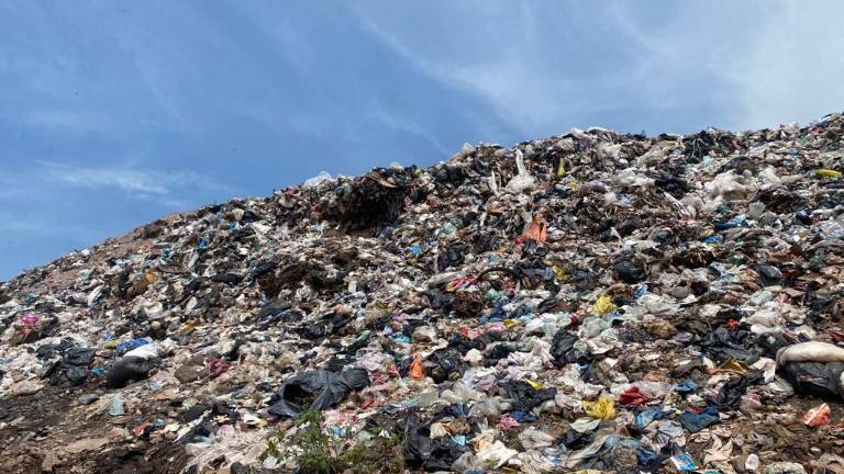 En el basurón municipal se han encontrado zapatos y tenis de lujo dañados a propósito