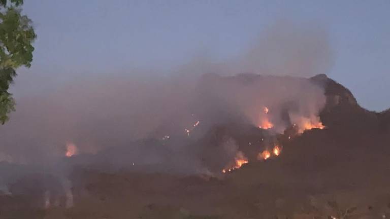 En Rosario se registra un incendio forestal que ha generado alarma entre pobladores de algunas comunidades.