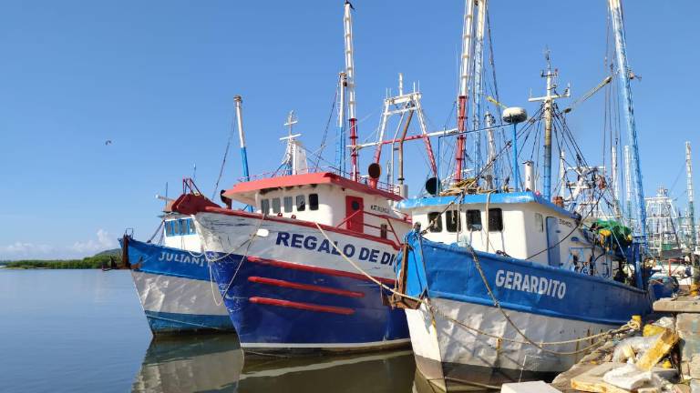 Dijo confiar en que se otorgue nuevamente la certificación antes de que regresen los barcos del primer viaje de capturas que inició el pasado 21 de septiembre para poder exportar el producto a los Estados Unidos.